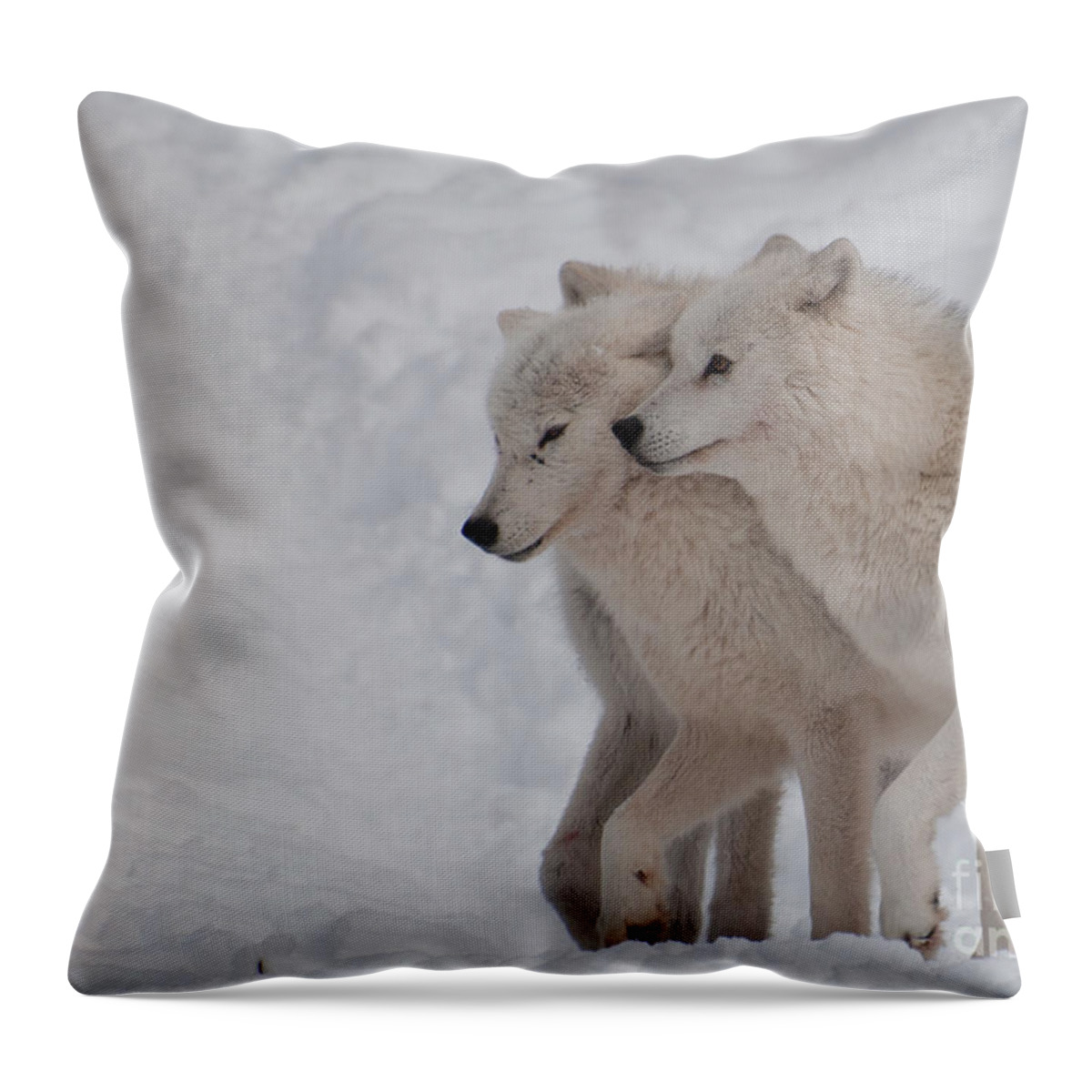 Arctic Wolf Throw Pillow featuring the photograph Joined at the Hip by Bianca Nadeau