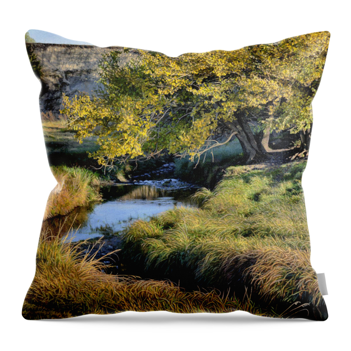 Landscape Throw Pillow featuring the drawing Jordan Creek Autumn by Bruce Morrison