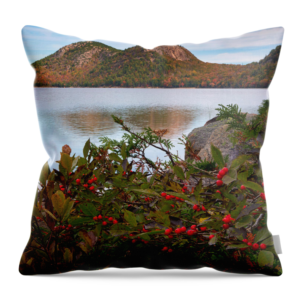 Acadia Throw Pillow featuring the photograph Jordan Pond with Berries by Darylann Leonard Photography