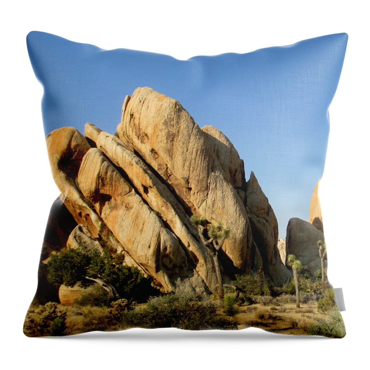 Joshua Tree Throw Pillow featuring the photograph Joshua Tree Morning 25 by Randall Weidner