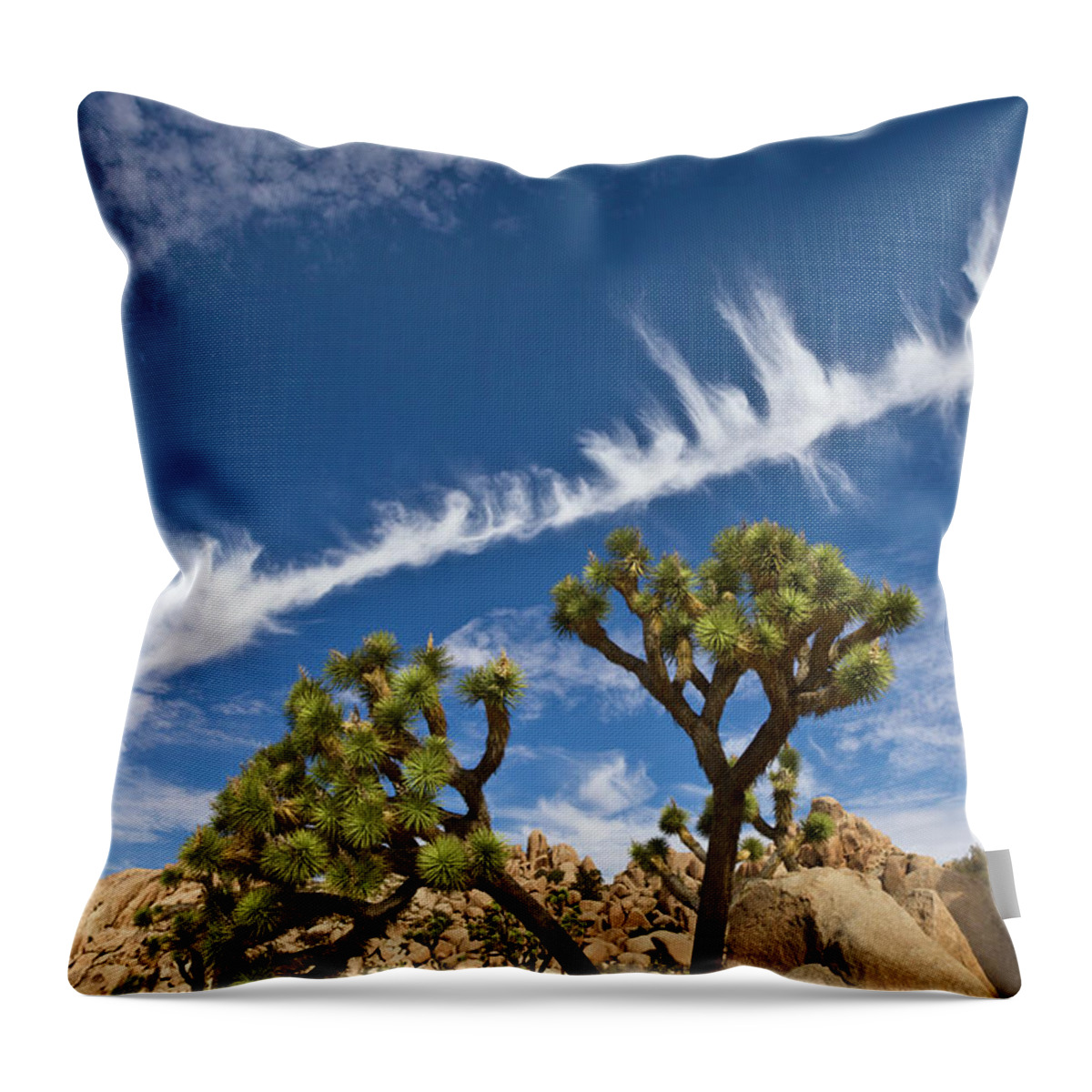 00559244 Throw Pillow featuring the photograph Joshua Trees in Joshua Tree Natl Park by Yva Momatiuk and John Eastcott