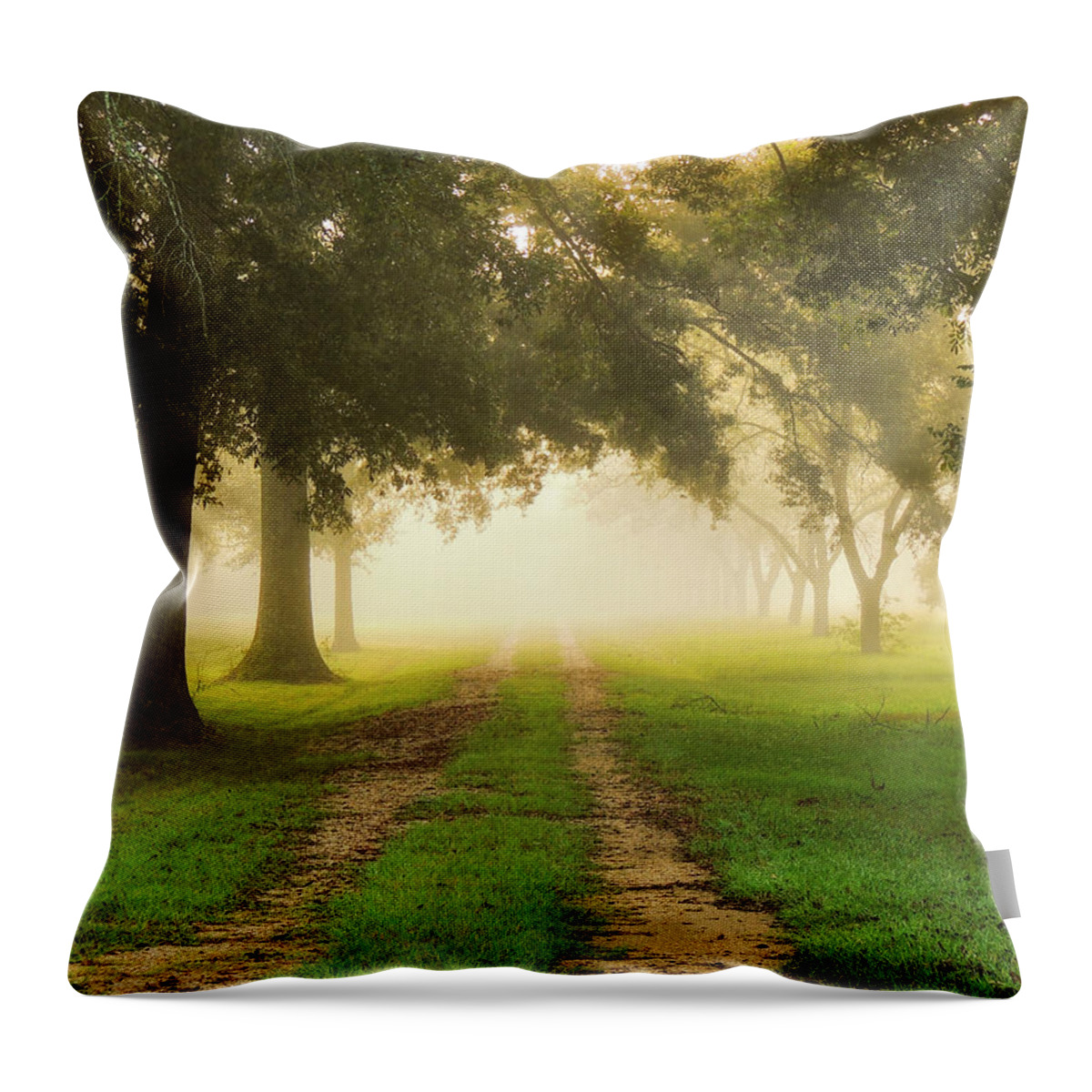 Fog Throw Pillow featuring the photograph Journey Into Fall by Charlotte Schafer