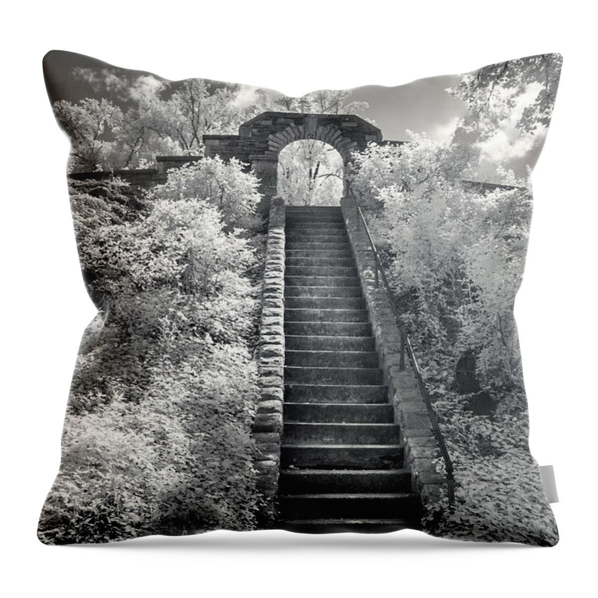 Ritter Park Throw Pillow featuring the photograph Journey by Mary Almond