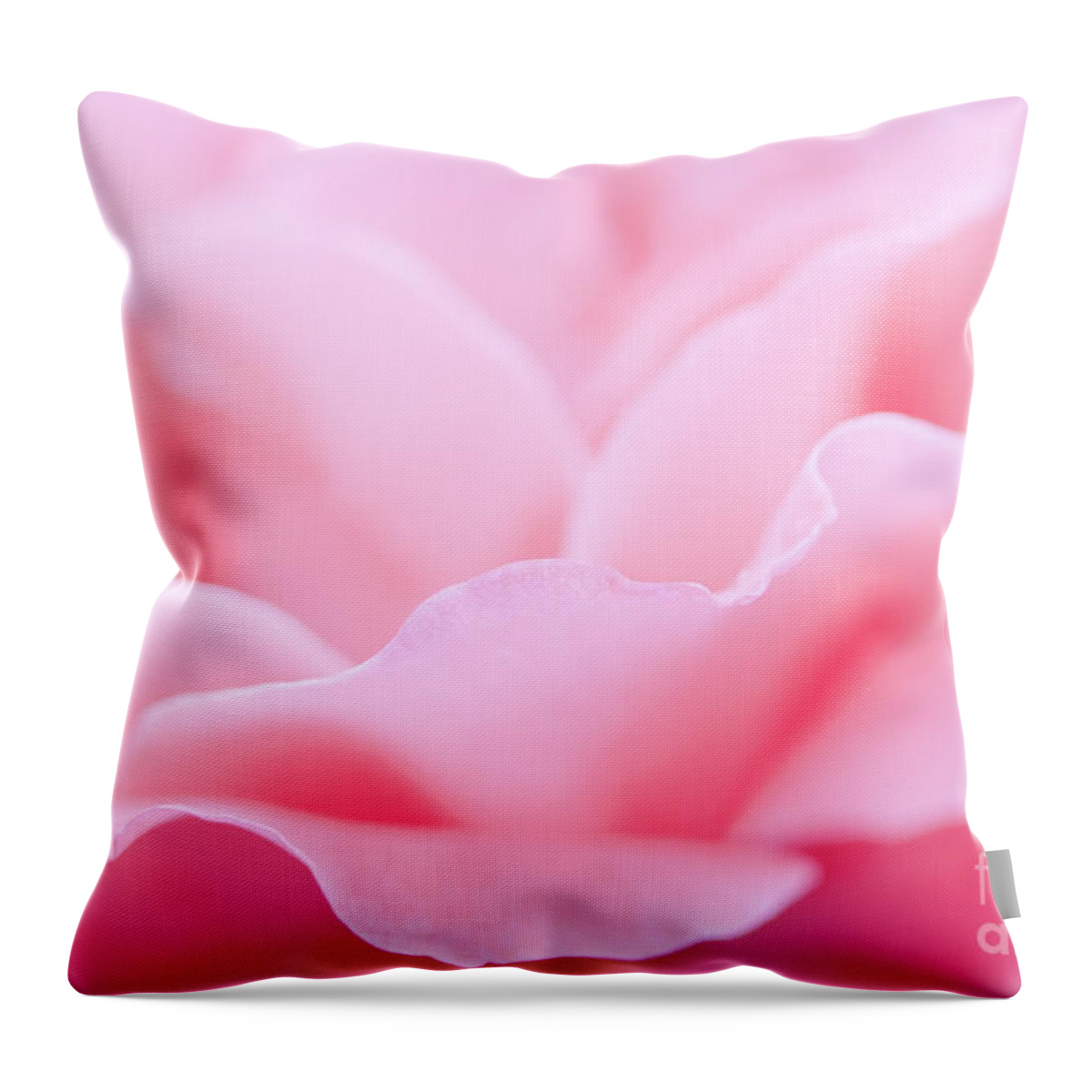 Rose Throw Pillow featuring the photograph Joyful by Patty Colabuono