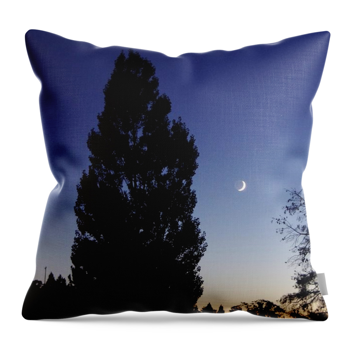 Stargazers Festival 2013 Throw Pillow featuring the photograph Julian night sky 2013 a by Phyllis Spoor