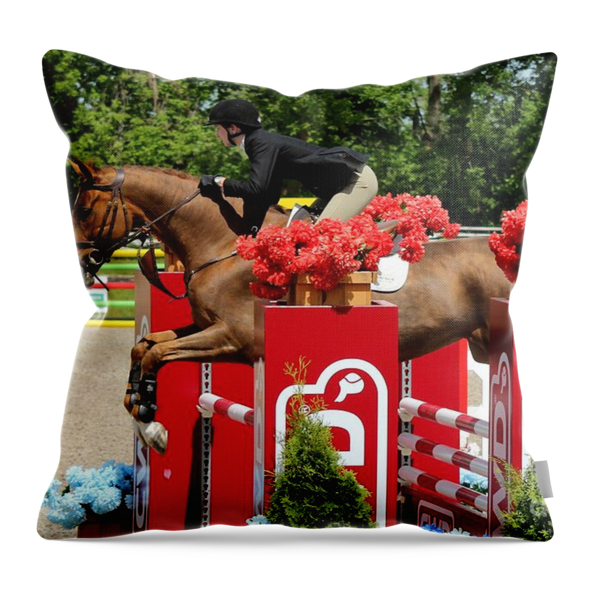 Equestrian Throw Pillow featuring the photograph Jumper45 by Janice Byer