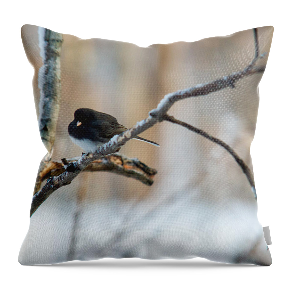 Junco Throw Pillow featuring the photograph Junco Shivering in Snow and Cold by Douglas Barnett