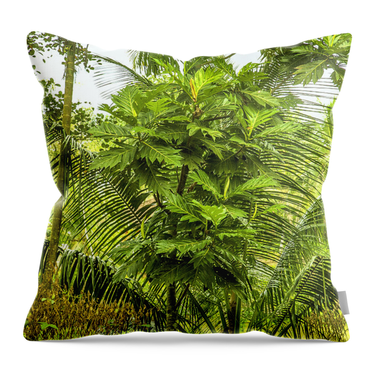 Yellow Throw Pillow featuring the photograph Jungle and Rice Field by Gina Koch