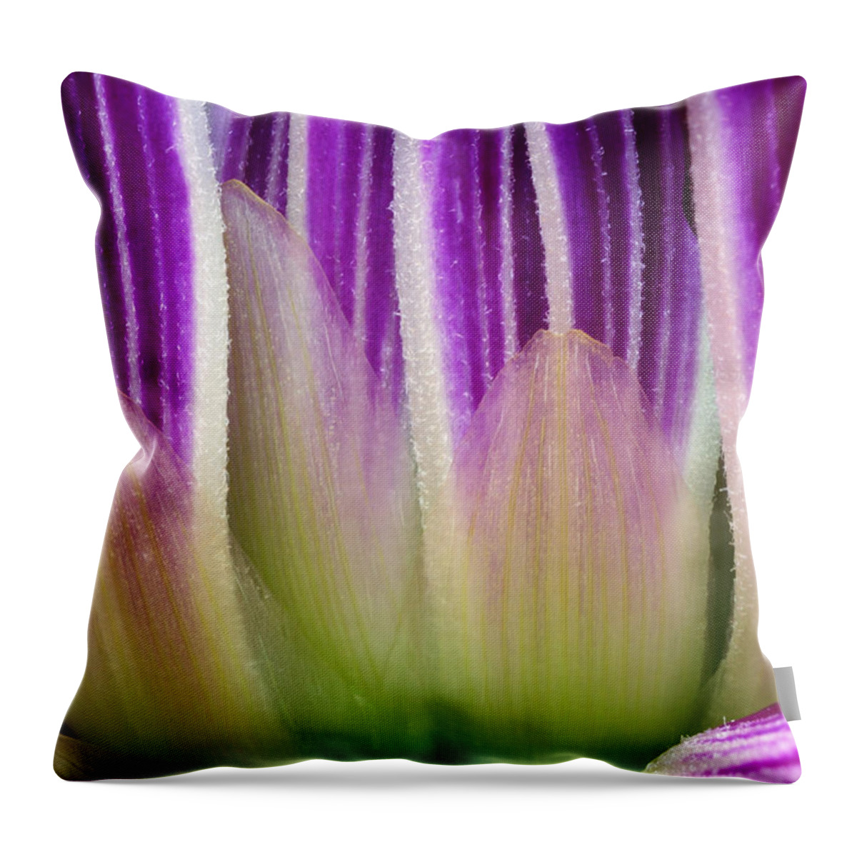 Just A Dahlia 1 Throw Pillow featuring the photograph Just A Dahlia 1 by Wendy Wilton
