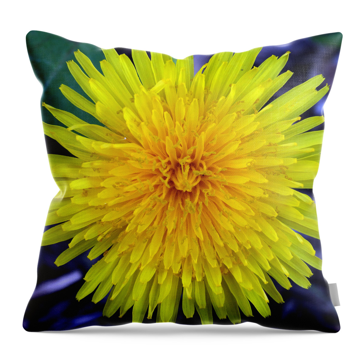 Dandelion Throw Pillow featuring the photograph Just a Dandelion by David T Wilkinson