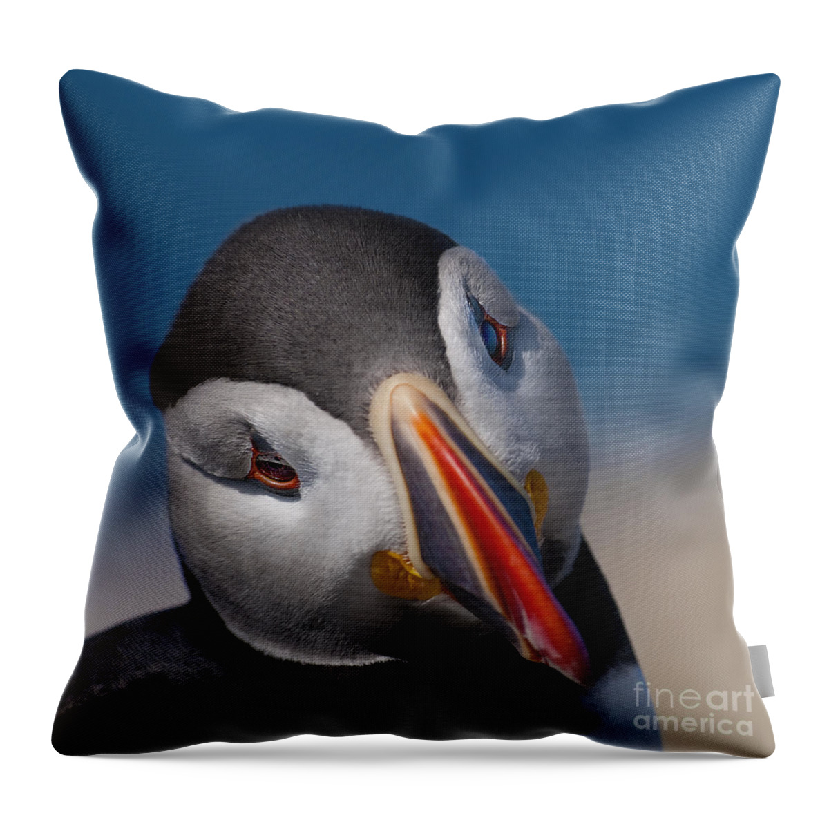 Machias Seal Island Throw Pillow featuring the photograph Just a little bit shy.. by Nina Stavlund