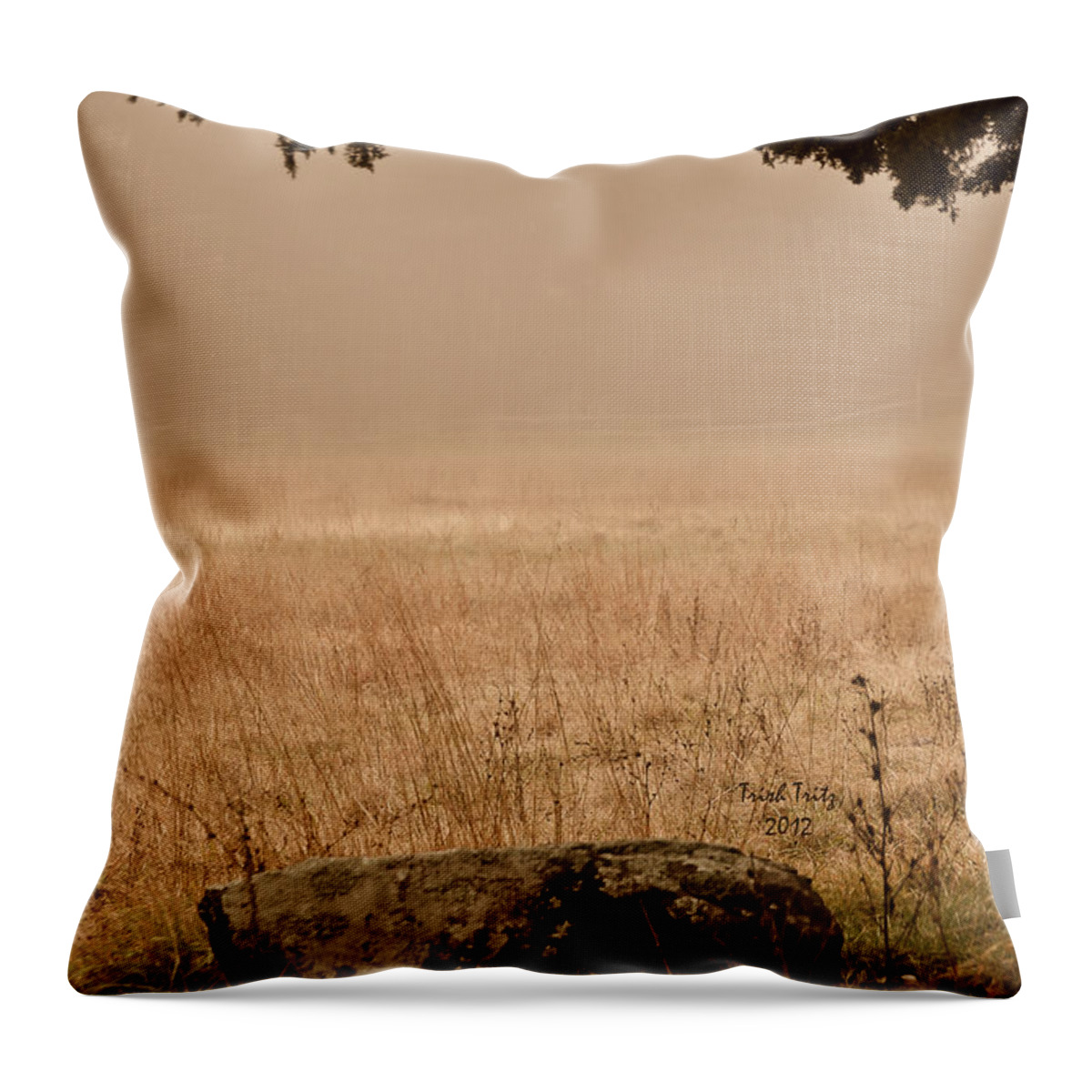 Green Lane Throw Pillow featuring the photograph Just A Rock by Trish Tritz