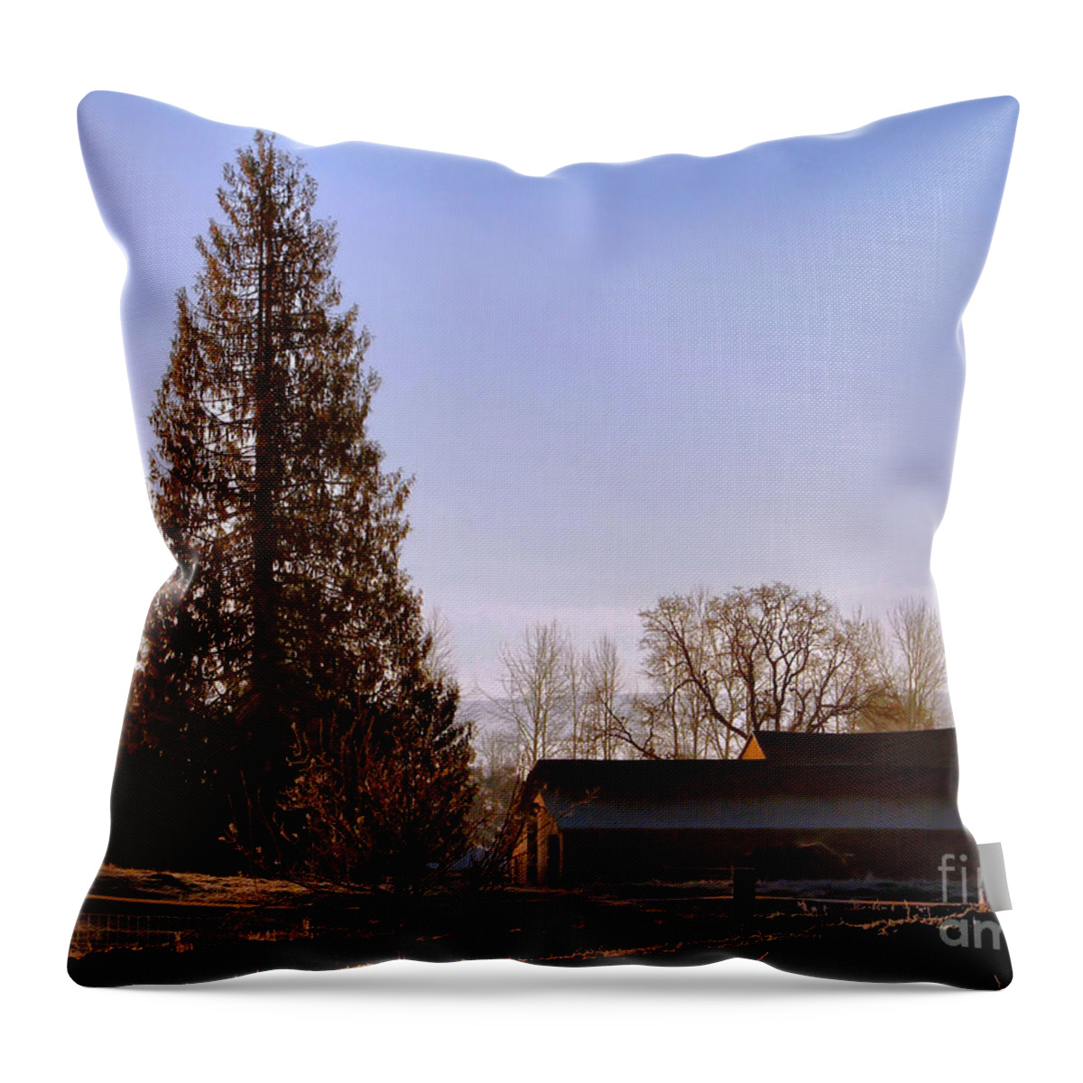 Landscape Throw Pillow featuring the photograph Just After Dawn by Rory Siegel