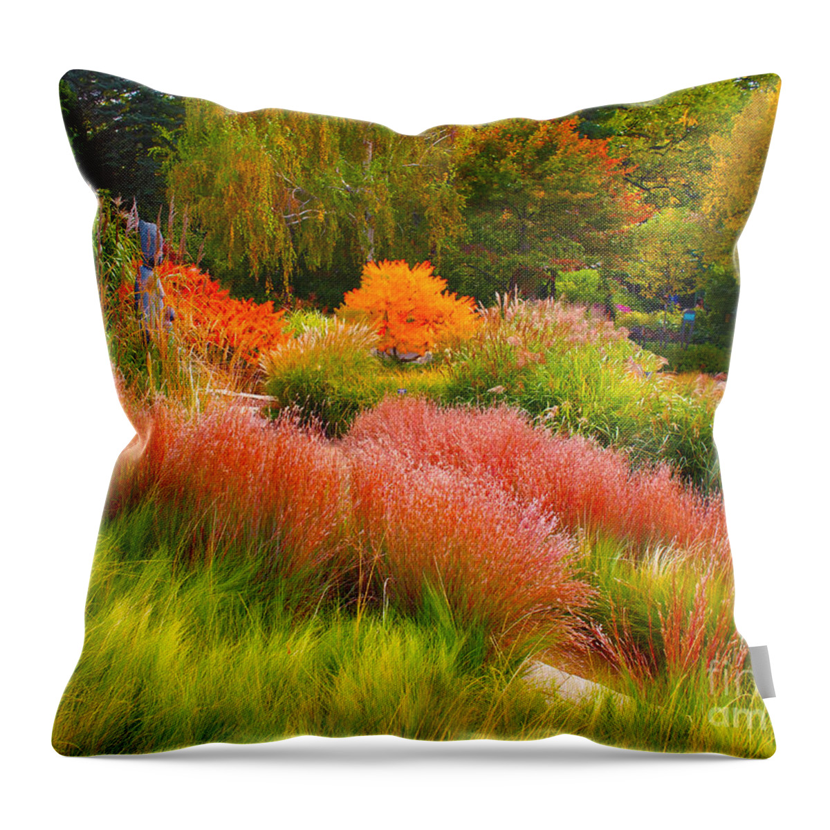 Gardens Throw Pillow featuring the photograph Just being Natural in a Garden by Joseph Mora