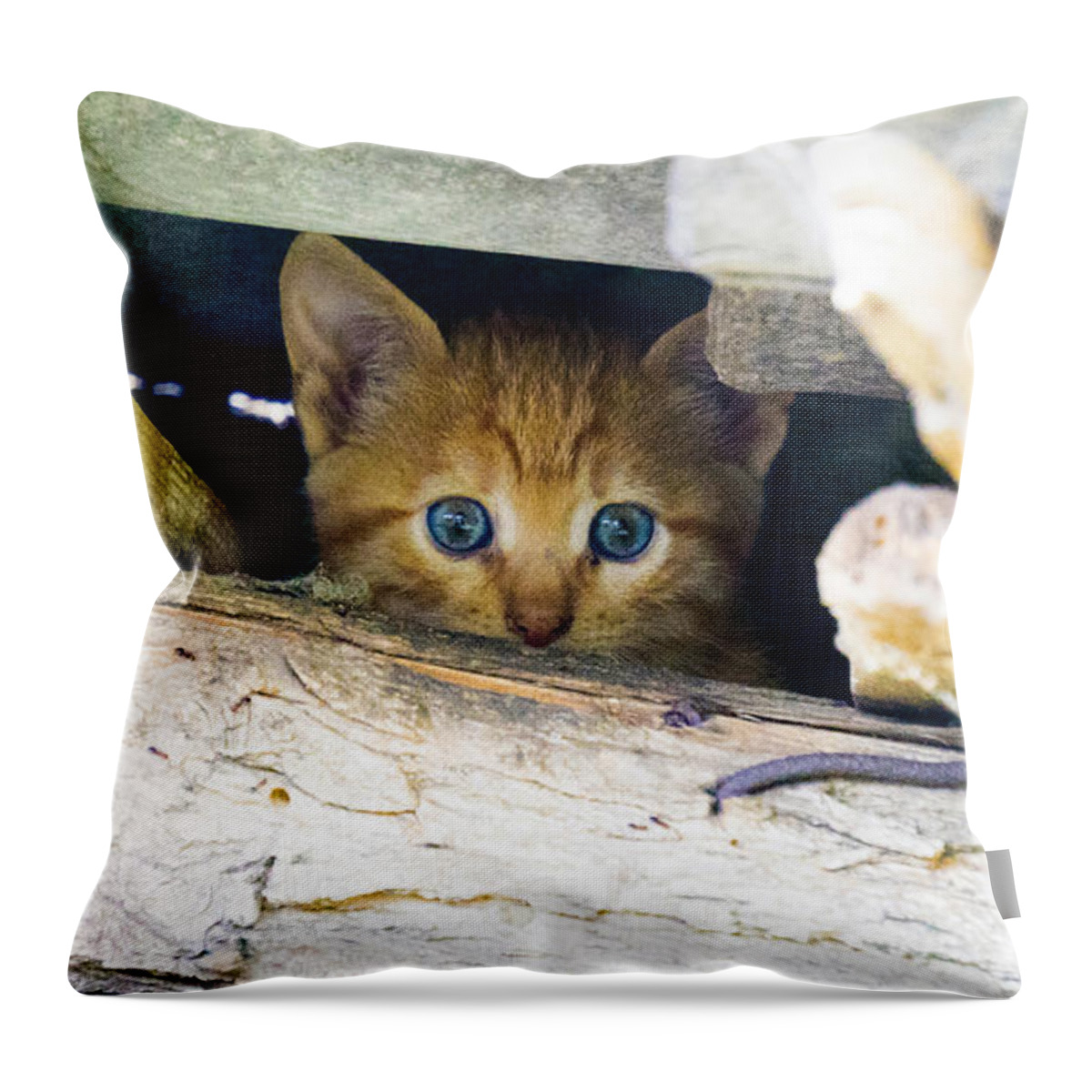 Cute Throw Pillow featuring the photograph Just Eyes by Milena Boeva