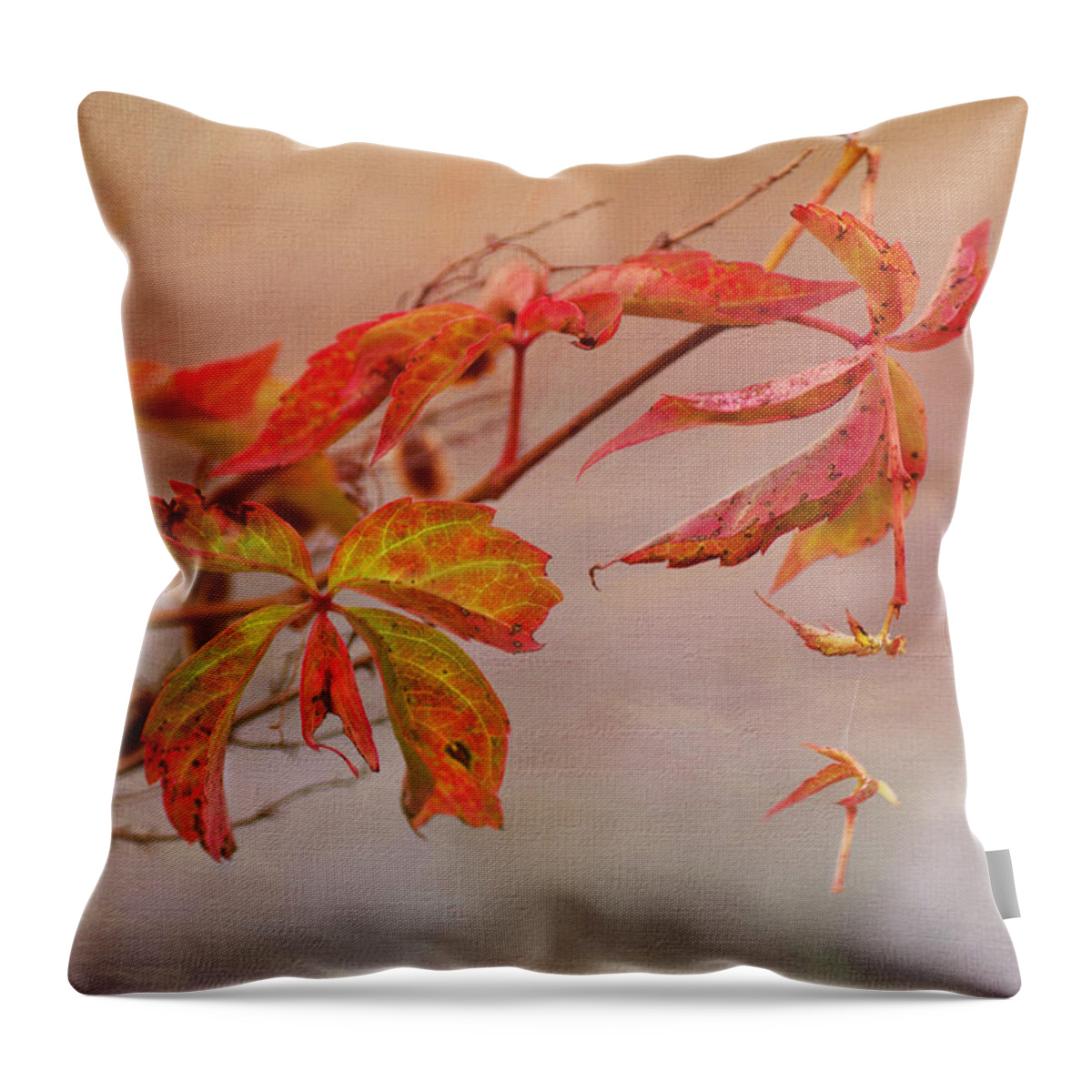 Autumn Leaves Throw Pillow featuring the photograph Just Fall by Sue Capuano