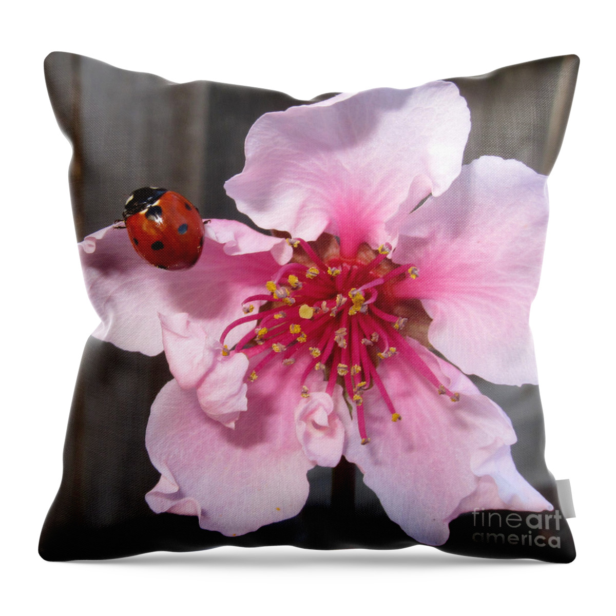 Blossom Throw Pillow featuring the photograph Just Hanging On by Debra Thompson