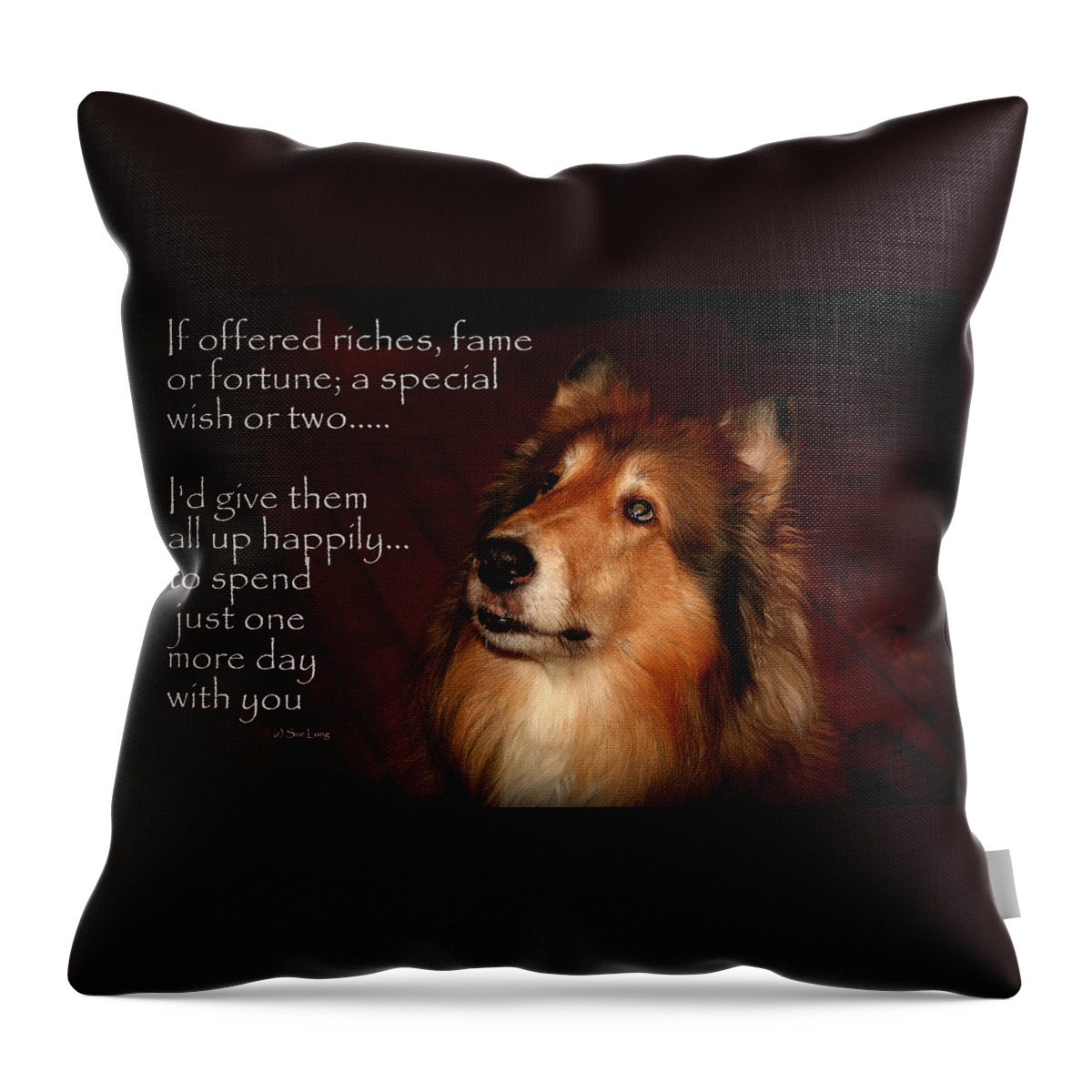 Quote Throw Pillow featuring the photograph Just One More Day by Sue Long