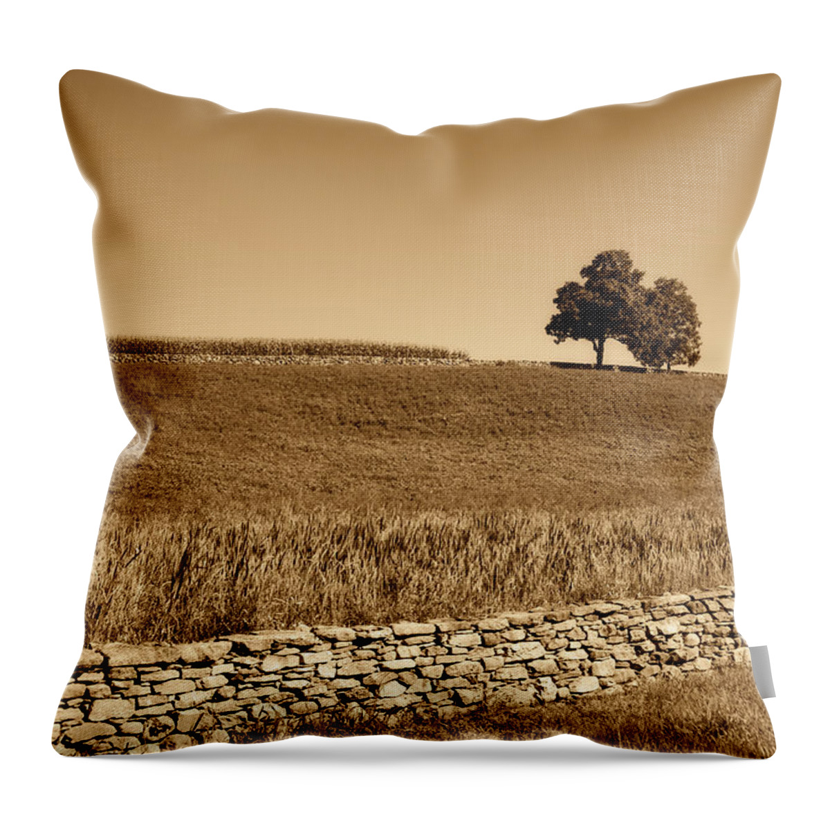 Trees Throw Pillow featuring the photograph Just the Two of Us by Donna Doherty
