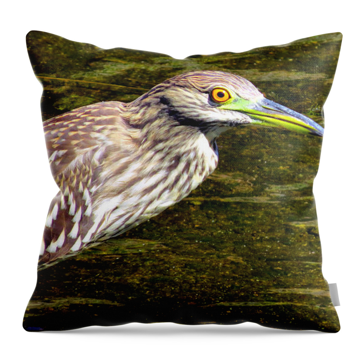 Heron Throw Pillow featuring the photograph Juvie by Art Dingo