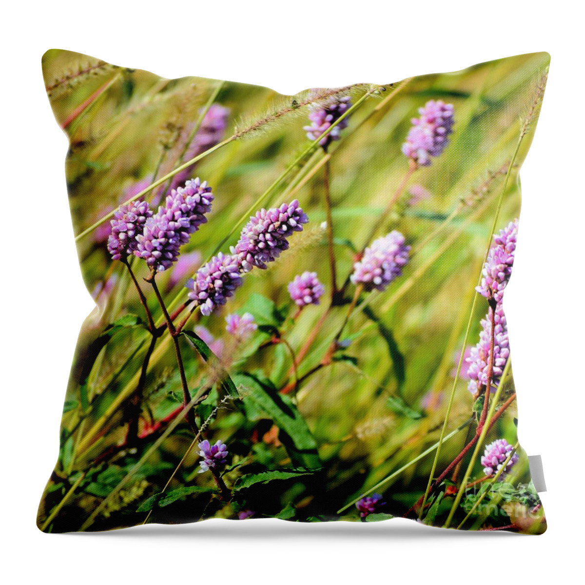 Floral Throw Pillow featuring the photograph Kansas Smartweed by Janette Boyd