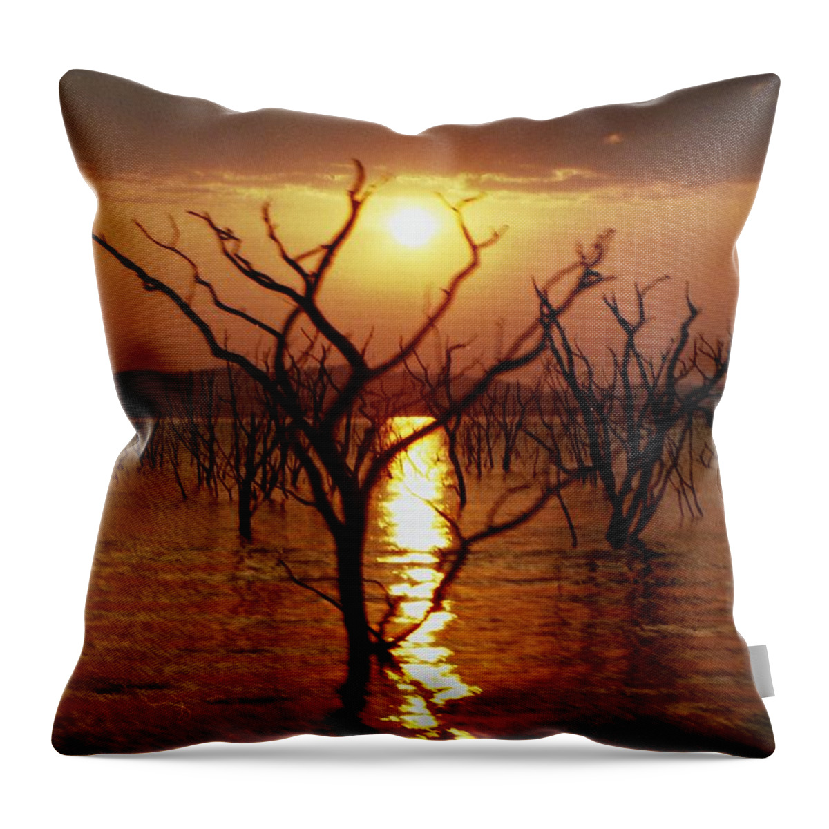 Sunset Throw Pillow featuring the photograph Kariba Sunset by Jeremy Hayden