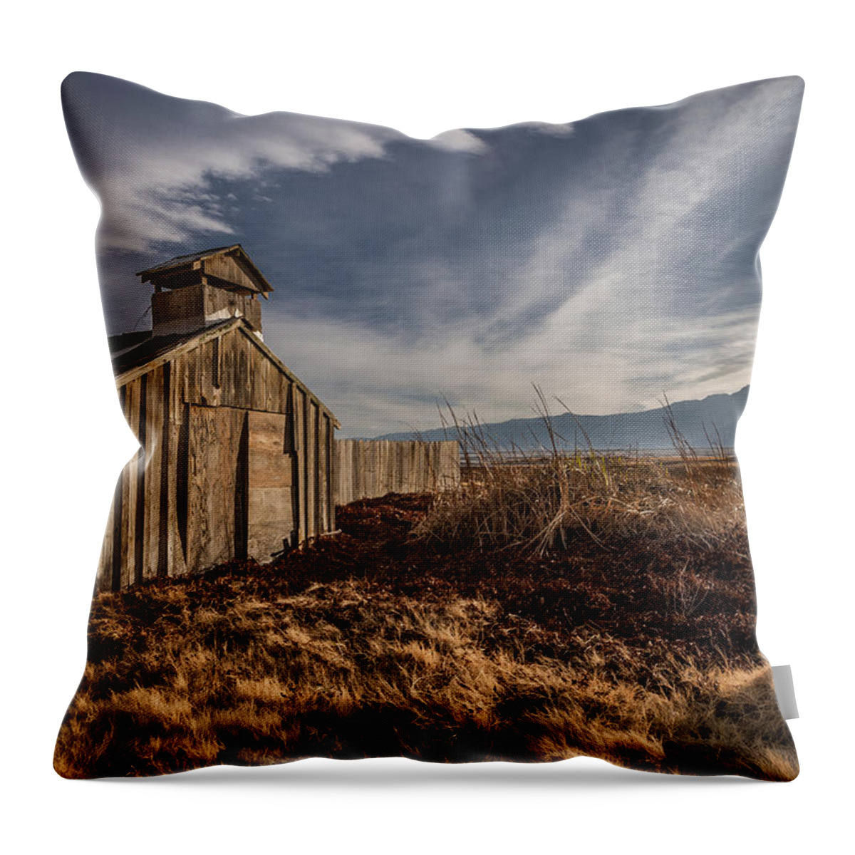 Clouds Throw Pillow featuring the photograph Keeler Swim Club by Cat Connor