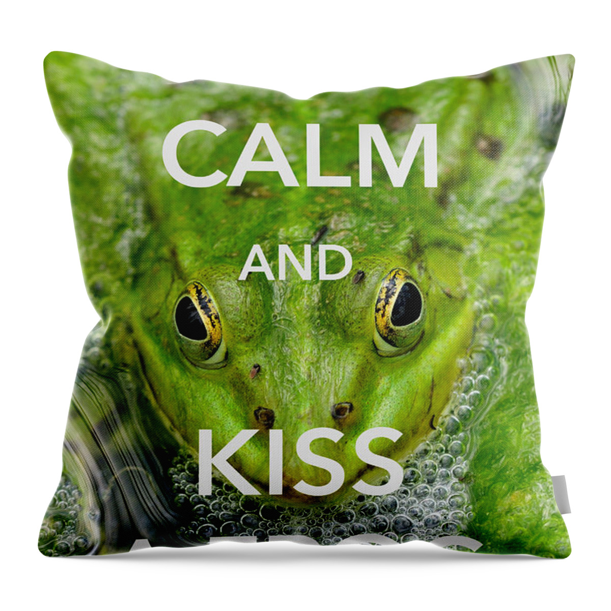 Keep Calm Throw Pillow featuring the photograph Keep calm and kiss a frog funny quote by Matthias Hauser