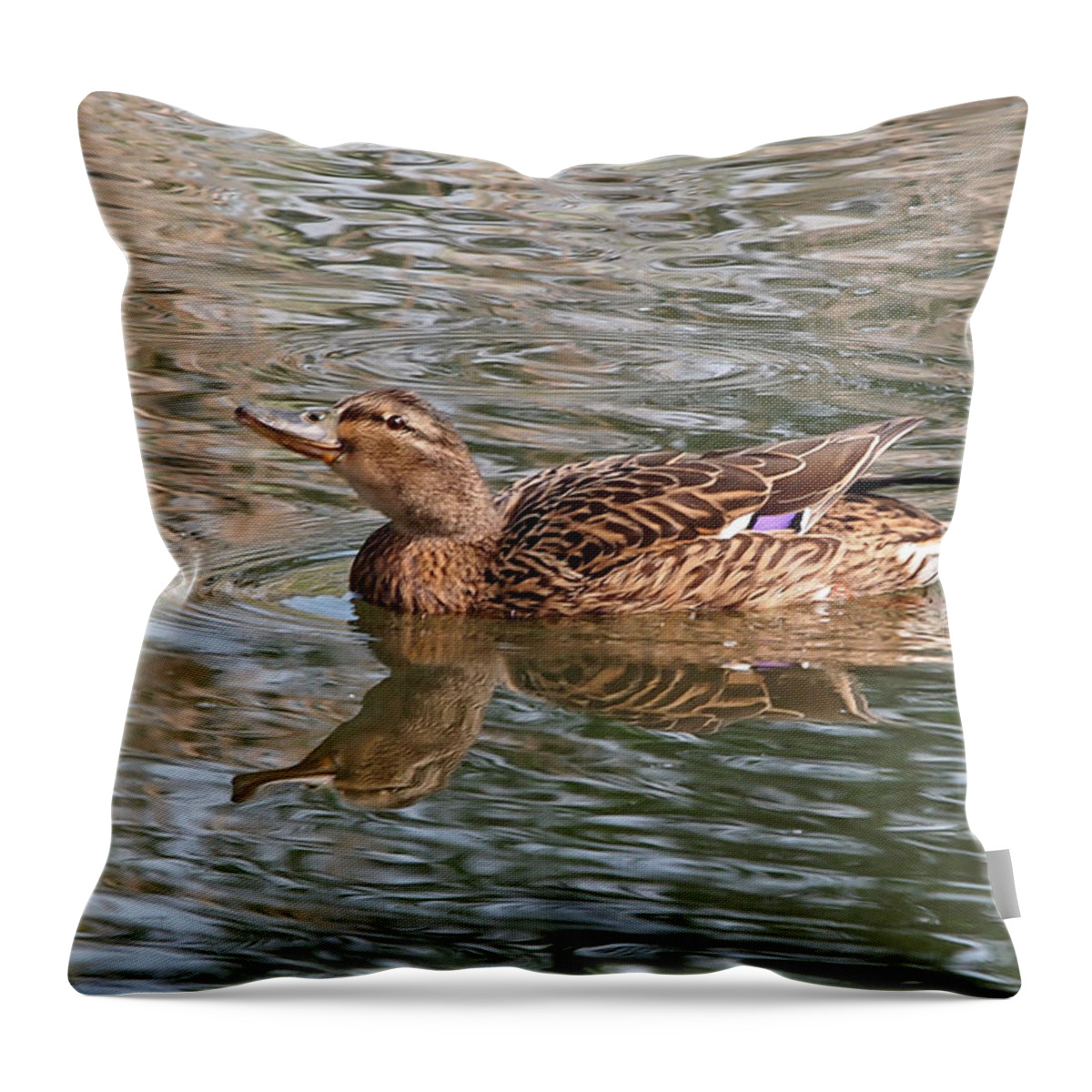 Ducklings Throw Pillow featuring the photograph Keep Up by Gill Billington