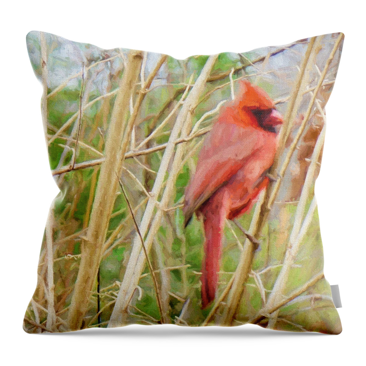 Bird Throw Pillow featuring the photograph Keeping Watch Male Cardinal by Denise Beverly