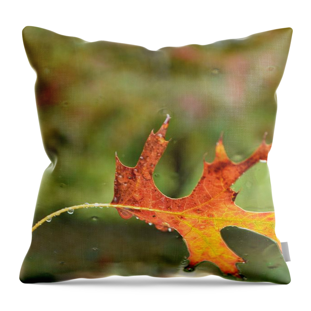 Fall Throw Pillow featuring the photograph Kept from falling by Carlee Ojeda