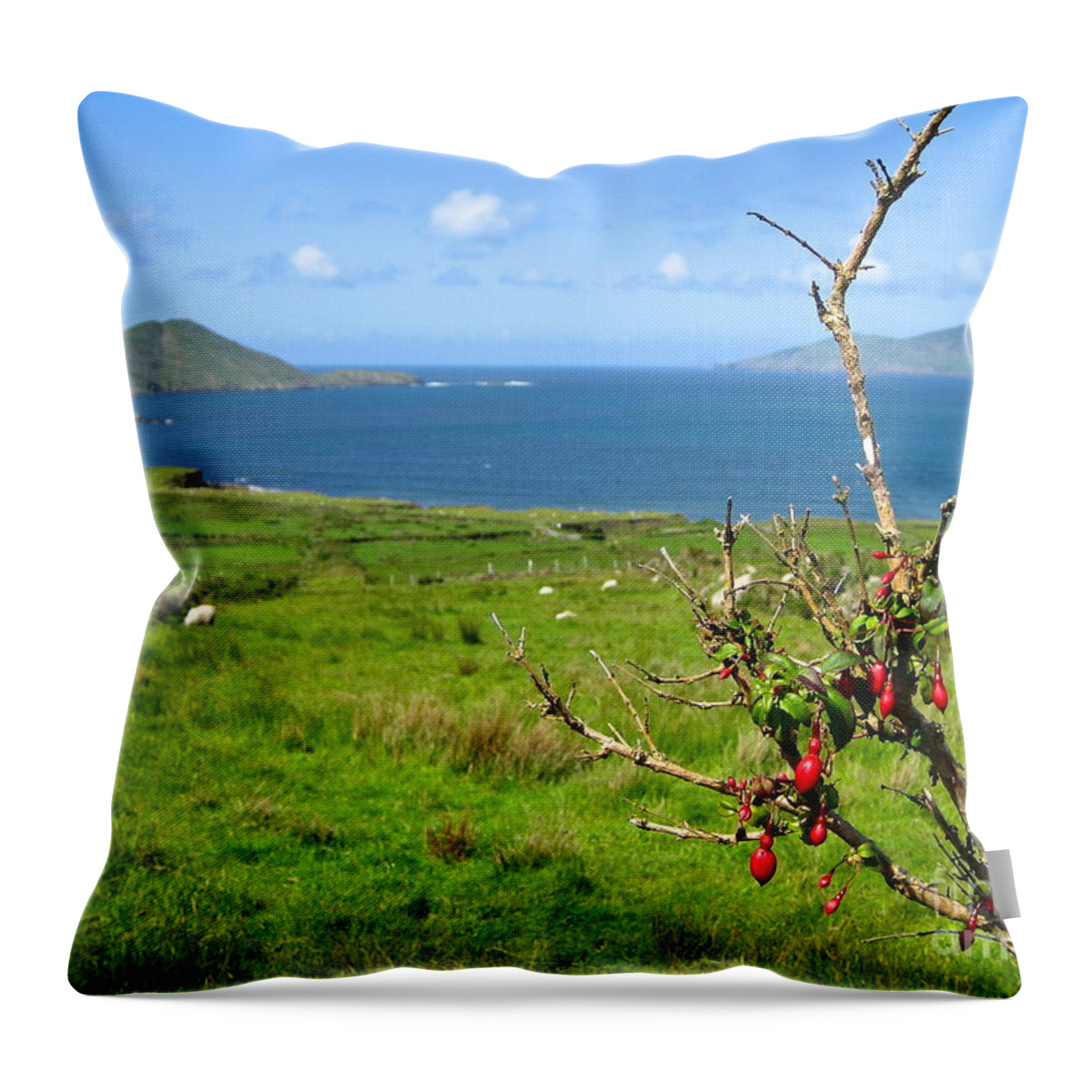 Ireland Countryside County Kerry Throw Pillow featuring the photograph Kerry Me Away by Suzanne Oesterling