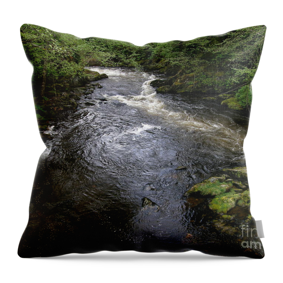 Ketchikan River Throw Pillow featuring the photograph Ketchikan River by Bev Conover