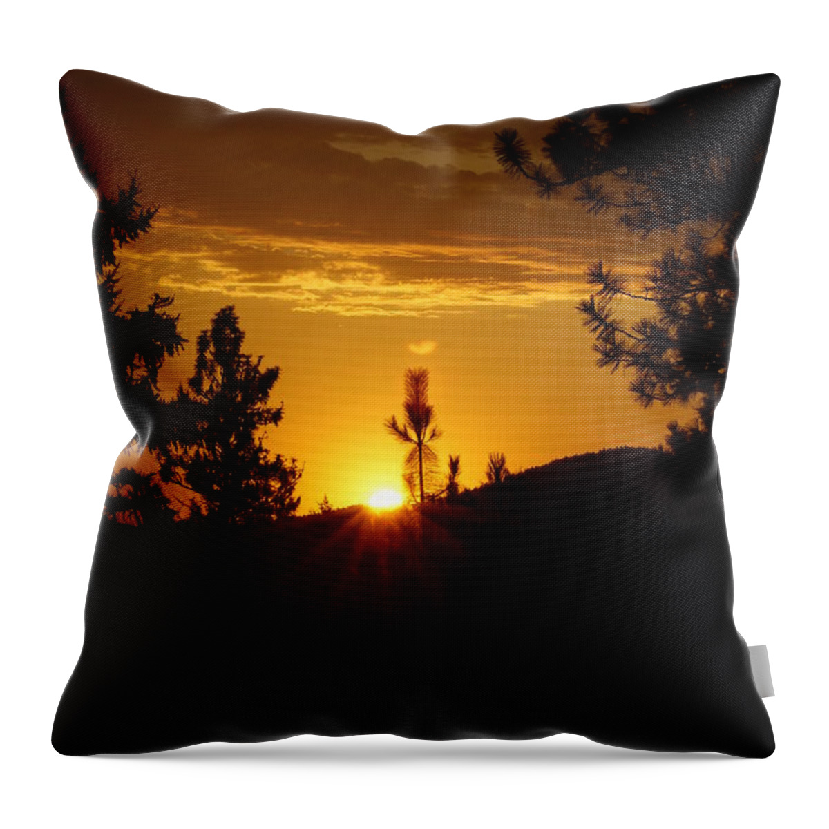 Sunrise Throw Pillow featuring the photograph Kettle Falls Sunrise 2 by Loni Collins