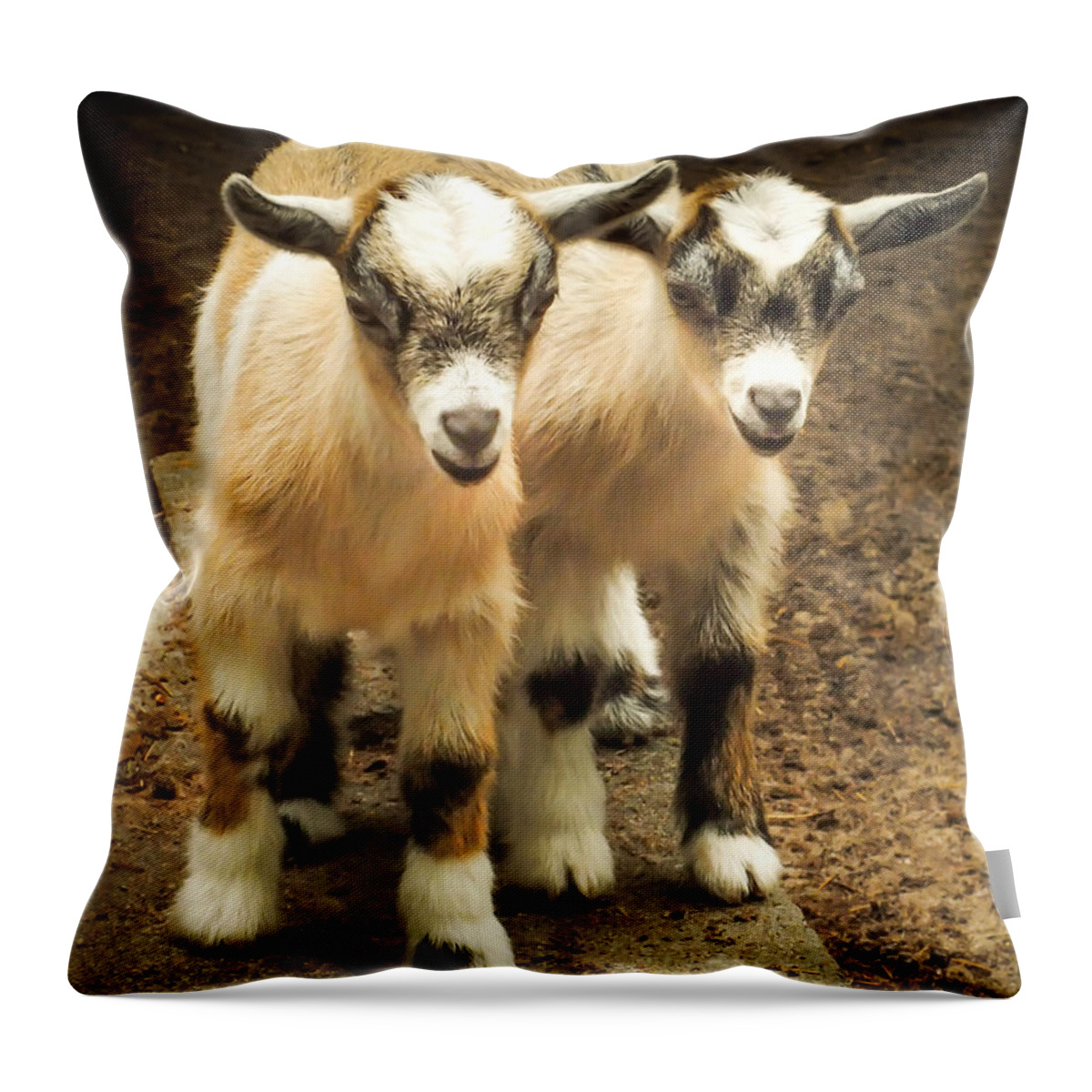Baby Goats Throw Pillow featuring the photograph KIDS ONE and TWO by Karen Wiles