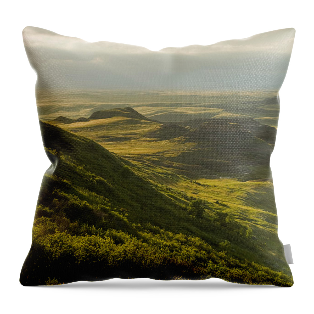 Horizon Throw Pillow featuring the photograph Killdeer Badlands In The East Block Of by Dave Reede