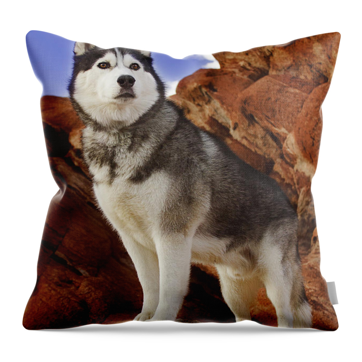 Animal Throw Pillow featuring the photograph King of the Huskies by Brian Cross