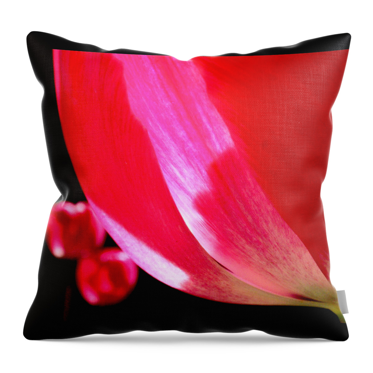 Tulips Throw Pillow featuring the photograph Kissing by Rona Black