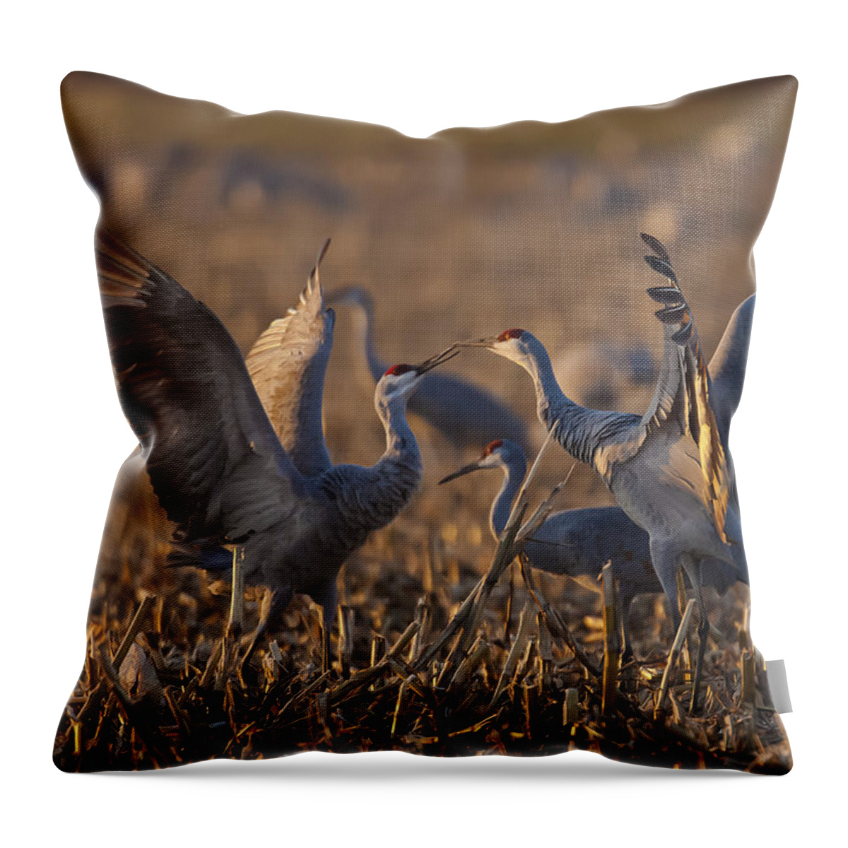 Animals Throw Pillow featuring the photograph Kissing Sandhills by Jack R Perry