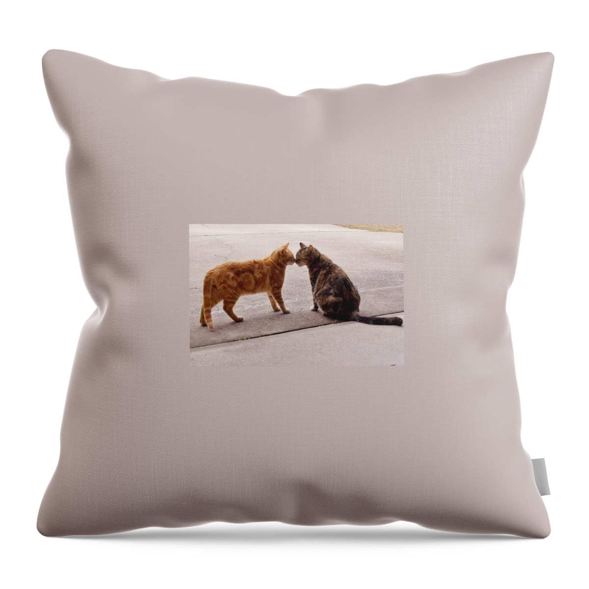Cats Throw Pillow featuring the digital art Thinking Of You #1 by Matthew Seufer