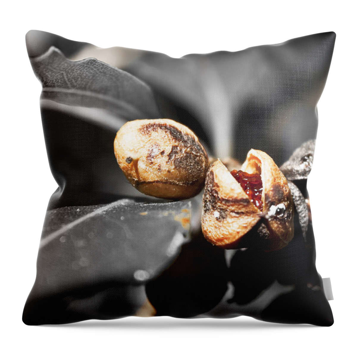 Seeds Throw Pillow featuring the photograph Knew seeds of complentation by Miroslava Jurcik
