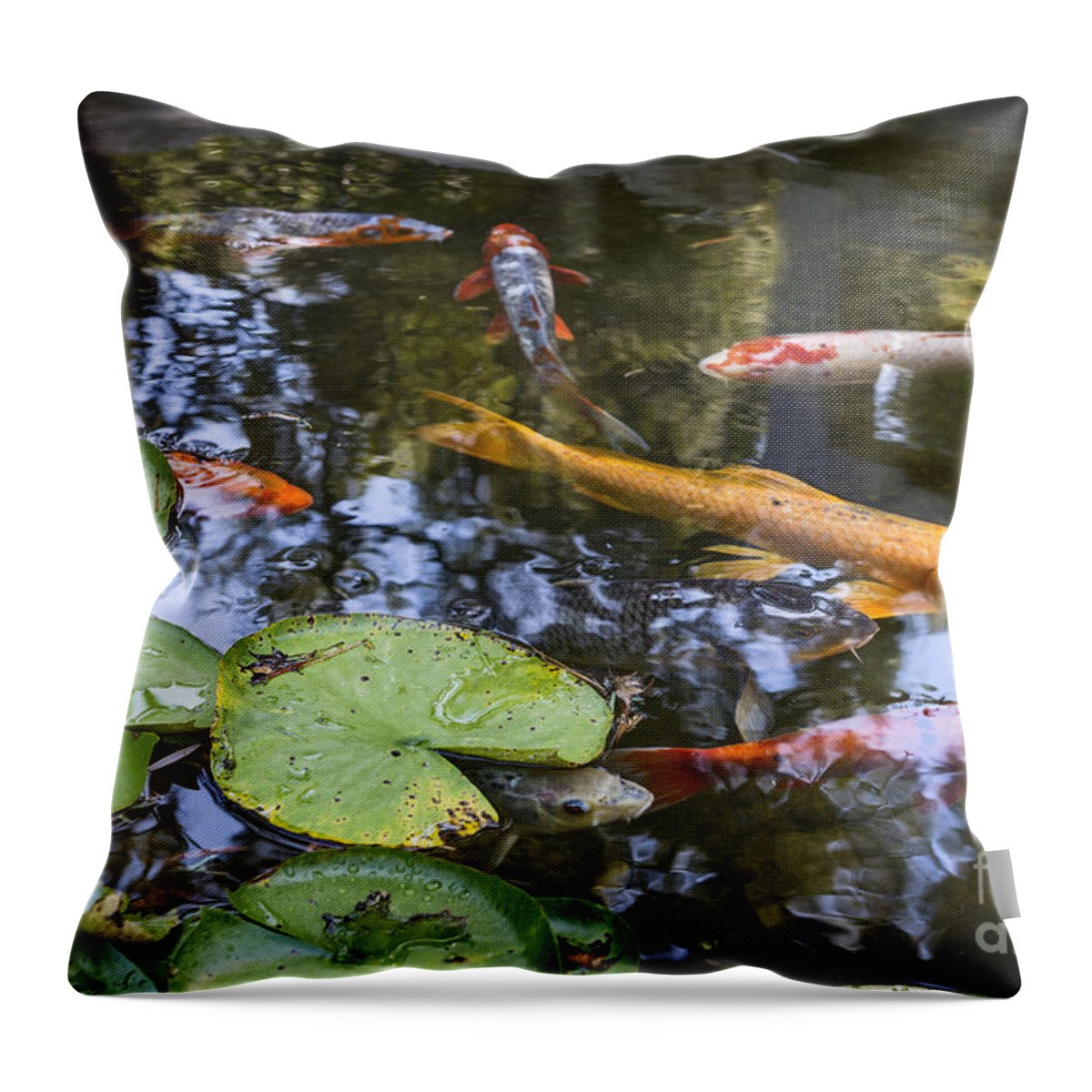 Koi Fish Throw Pillow featuring the photograph Koi and Lily Pads - Beautiful koi fish and lily pads in a garden. by Jamie Pham