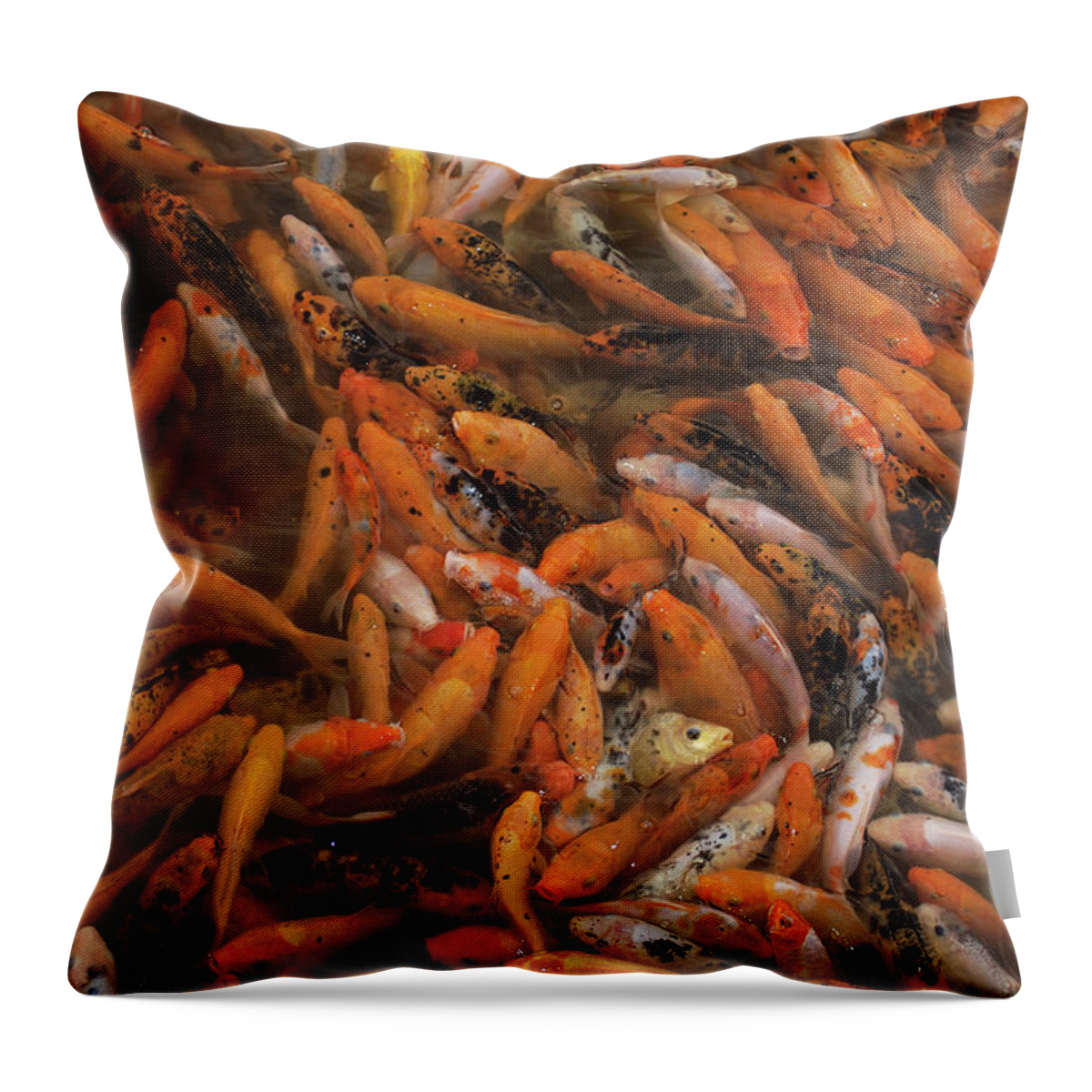 00210406 Throw Pillow featuring the photograph Koi School China by Pete Oxford