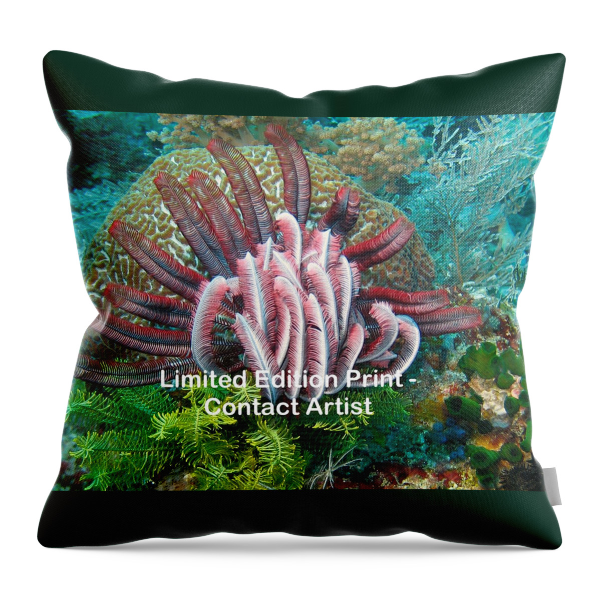 Indonesia Throw Pillow featuring the photograph Komodo Island 6 by David Beebe