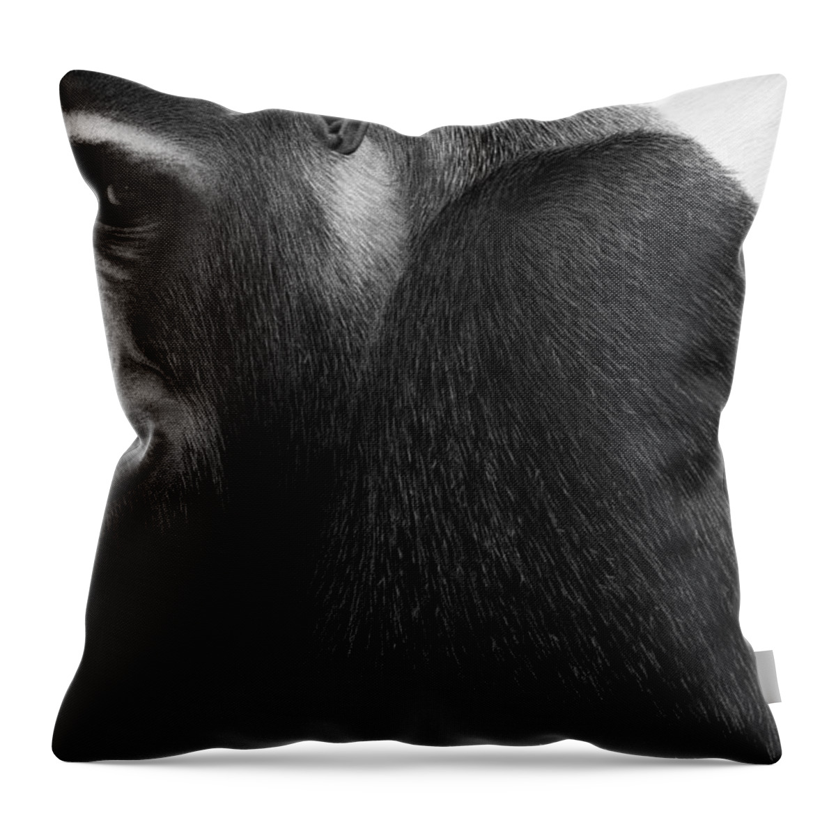 Gorilla Throw Pillow featuring the drawing Kong by Stirring Images