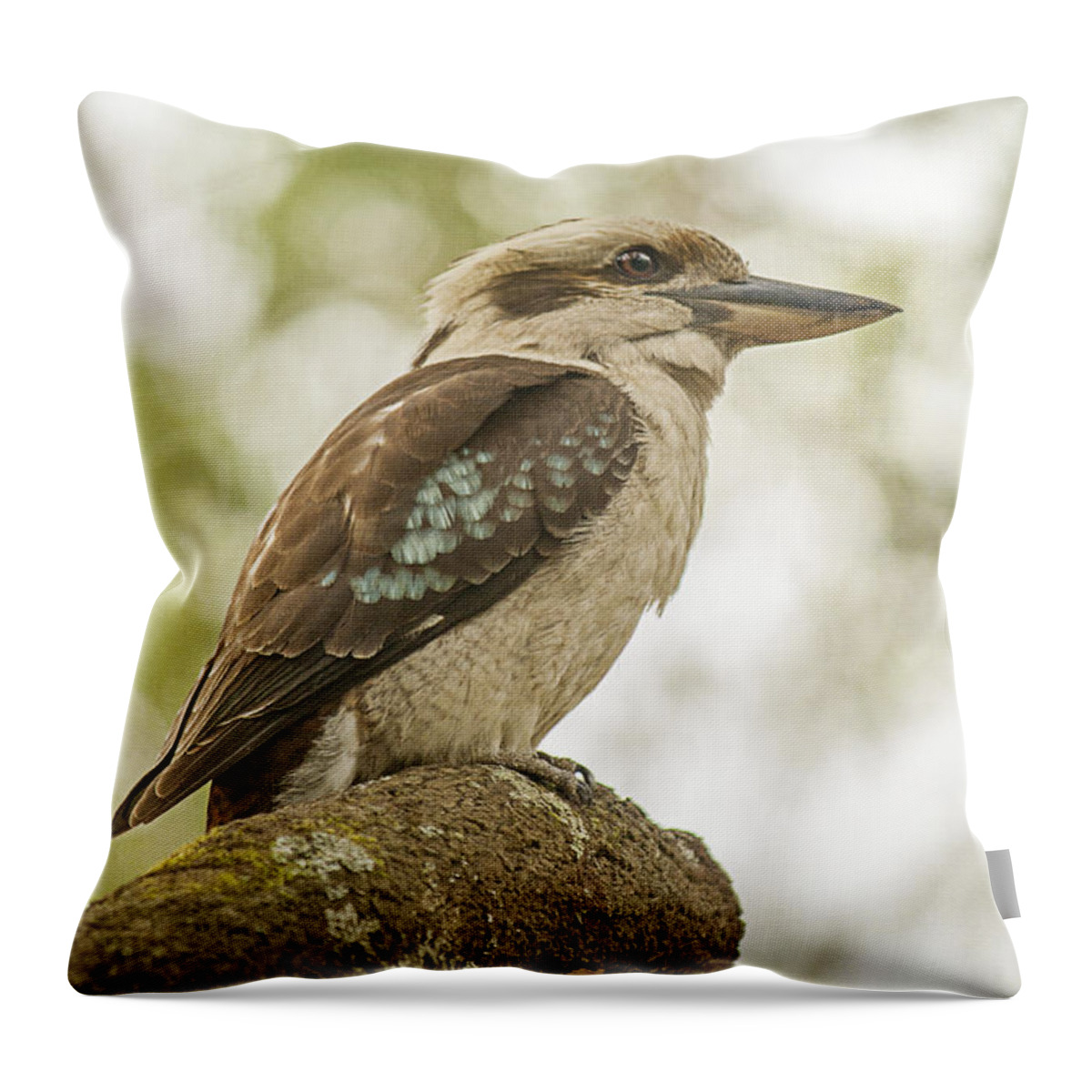 Kookaburra Throw Pillow featuring the photograph Kookaburra by Linda Lees