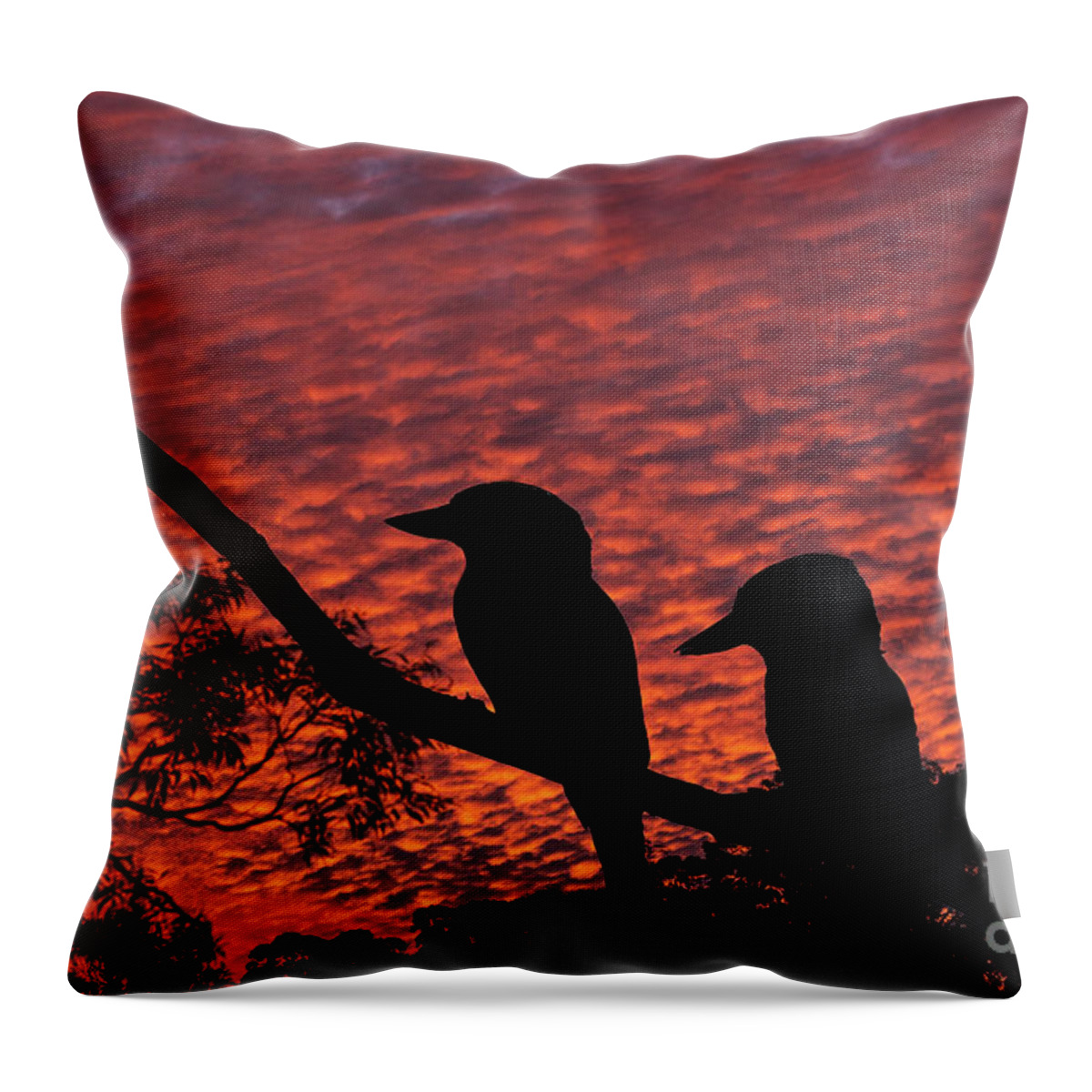 Kookaburras Throw Pillow featuring the photograph Kookaburras at sunset by Sheila Smart Fine Art Photography