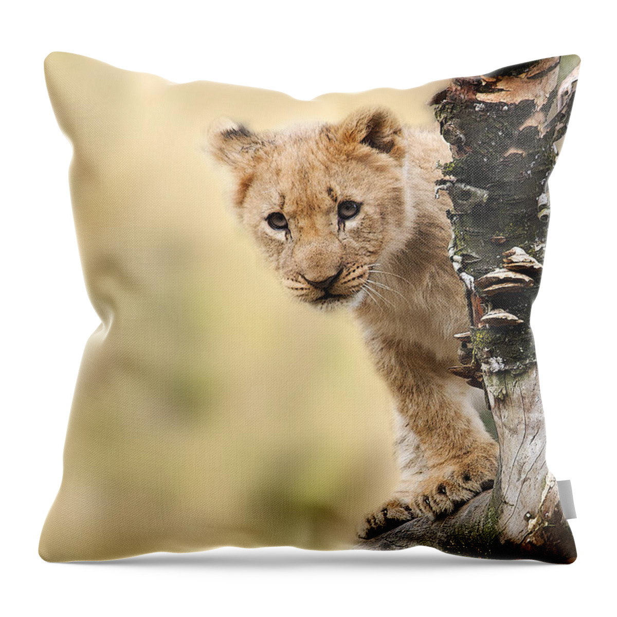 Lion Throw Pillow featuring the photograph Kuckuck by Christine Sponchia