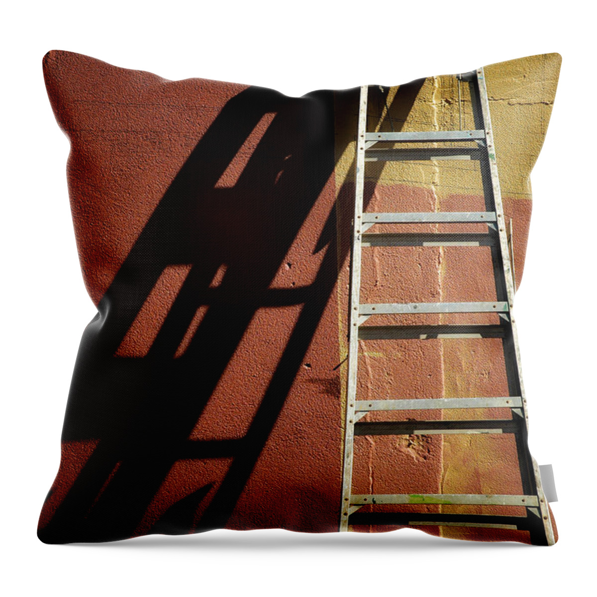 Riverside Gardens Park Throw Pillow featuring the photograph Ladder And Shadow On The Wall by Gary Slawsky