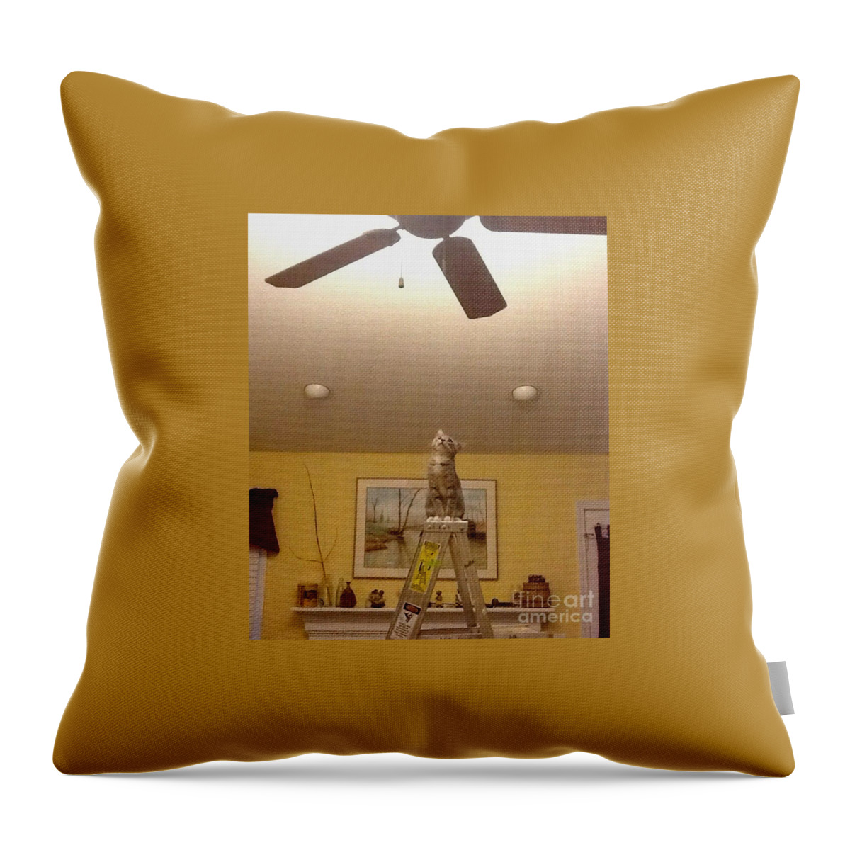 Cat Throw Pillow featuring the photograph Ladder Cat by Stacy C Bottoms